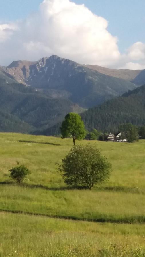 Domek Pod Ubocom Zakopane Bagian luar foto
